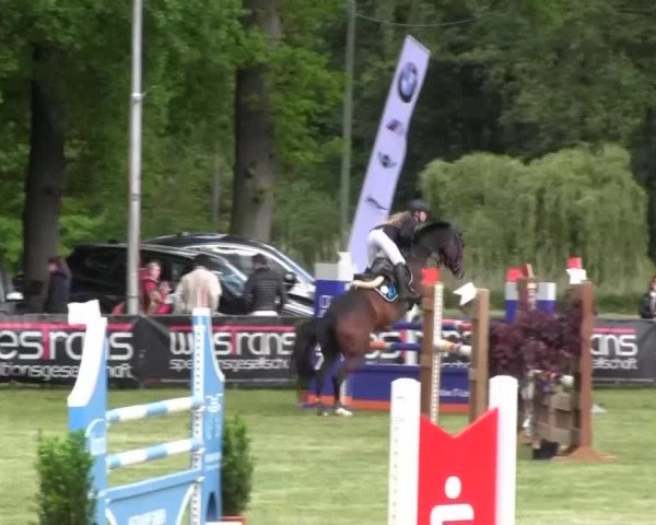 Reitturnier Borken 2016