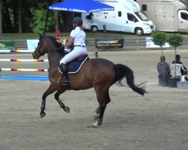 Reitturnier Mönchengladbach-Wickrath 2016
