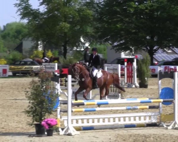 Reitturnier Iserlohn-Kalthof 2016