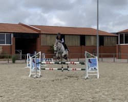 jumper Carlos 733 (Holsteiner, 2010, from Cancara)