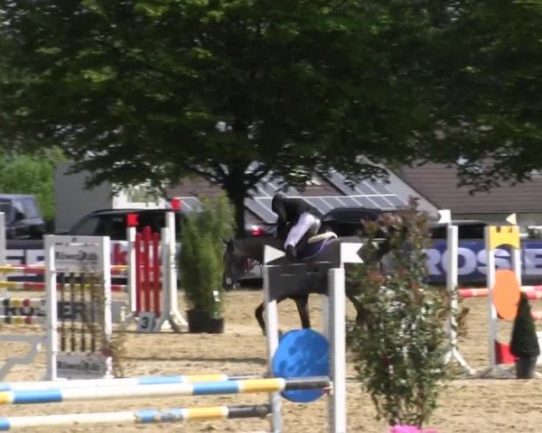 Reitturnier Iserlohn-Kalthof 2016