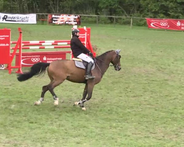 Reitturnier Jettingen 2016