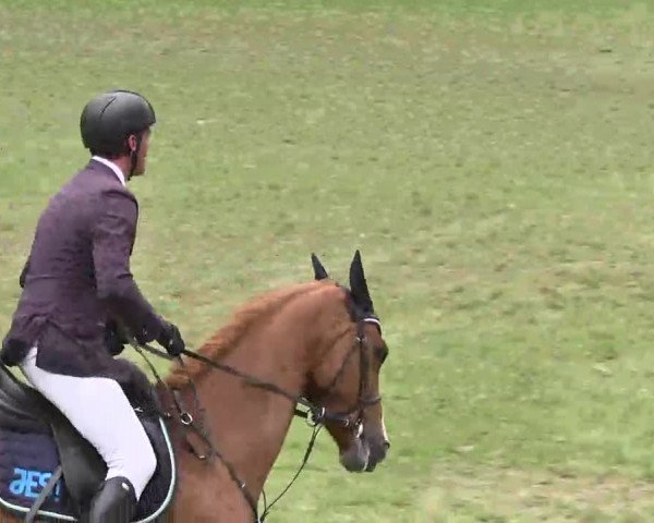 Reitturnier Jettingen 2016