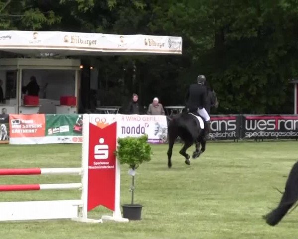 Reitturnier Borken 2016