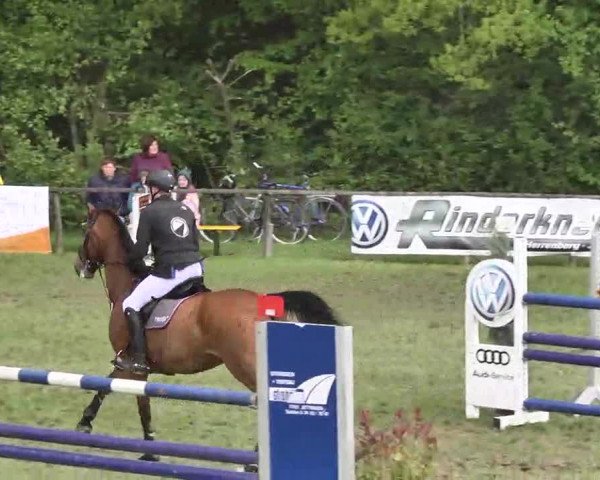 Reitturnier Jettingen 2016