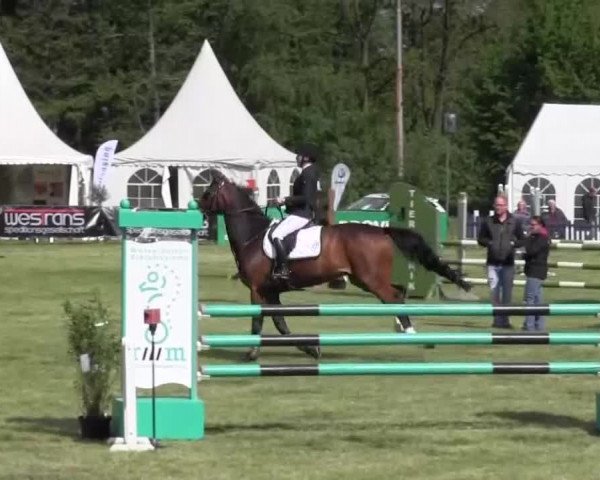 Reitturnier Borken 2016