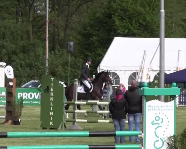 Reitturnier Borken 2016
