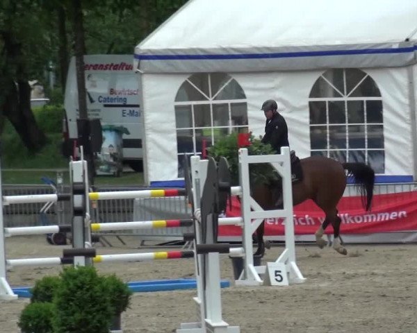 Reitturnier Mönchengladbach-Wickrath 2016