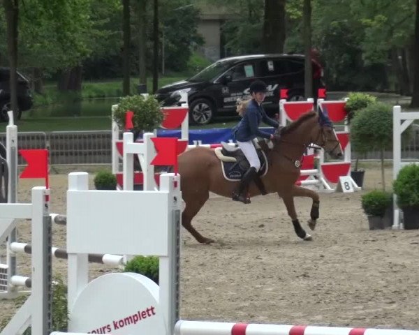 Reitturnier Mönchengladbach-Wickrath 2016