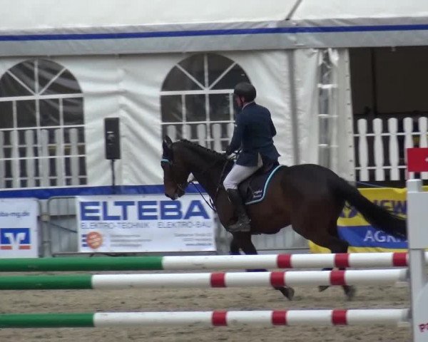 Reitturnier Mönchengladbach-Wickrath 2016