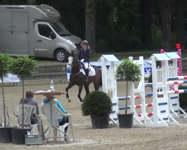 Reitturnier Mönchengladbach-Wickrath 2016