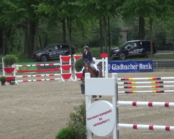Reitturnier Mönchengladbach-Wickrath 2016