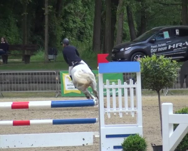 Reitturnier Mönchengladbach-Wickrath 2016