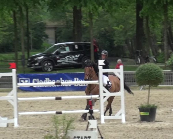 Reitturnier Mönchengladbach-Wickrath 2016