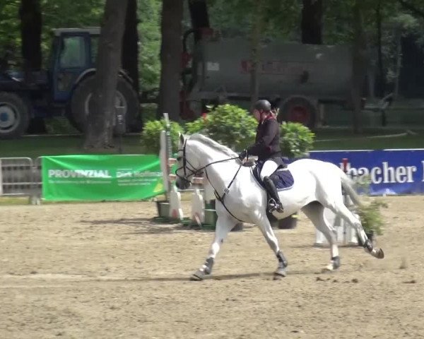 Reitturnier Mönchengladbach-Wickrath 2016