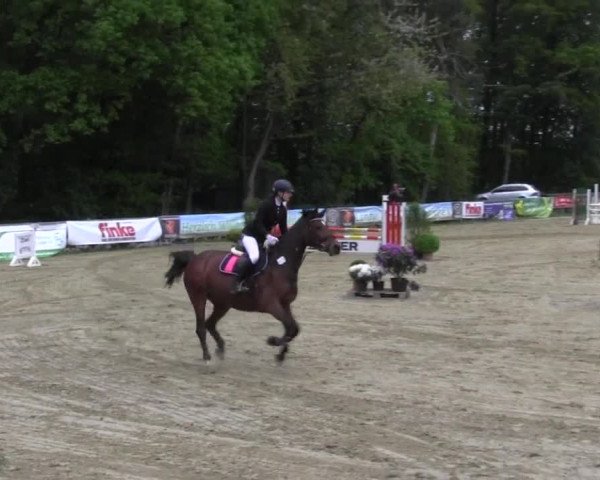 Reitturnier Iserlohn-Kalthof 2016