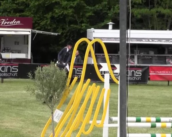 Reitturnier Borken 2016