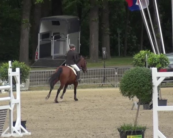 Reitturnier Mönchengladbach-Wickrath 2016