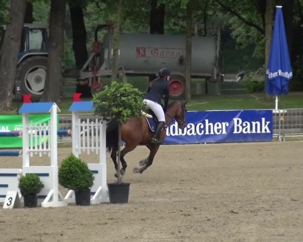 Reitturnier Mönchengladbach-Wickrath 2016