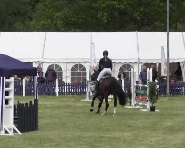 Reitturnier Borken 2016