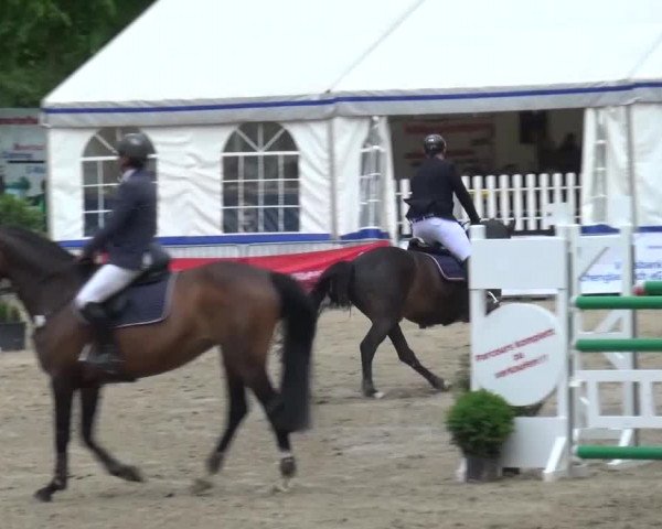 Reitturnier Mönchengladbach-Wickrath 2016