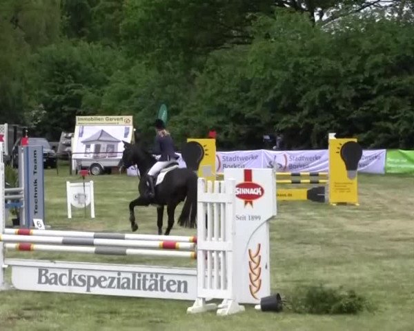 Reitturnier Borken 2016