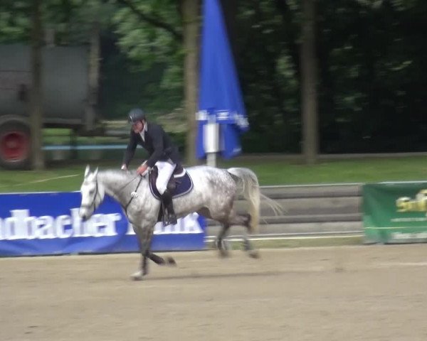 Reitturnier Mönchengladbach-Wickrath 2016