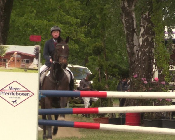 Reitturnier Kreuzkrug 2016