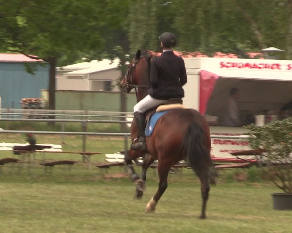Reitturnier Kreuzkrug 2016