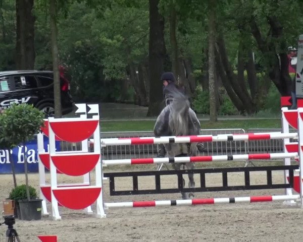 Reitturnier Mönchengladbach-Wickrath 2016