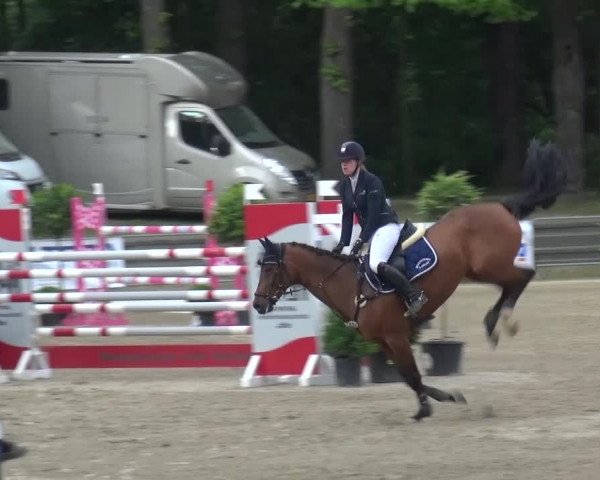 Reitturnier Mönchengladbach-Wickrath 2016