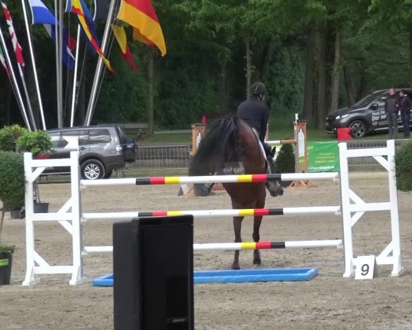 Reitturnier Mönchengladbach-Wickrath 2016