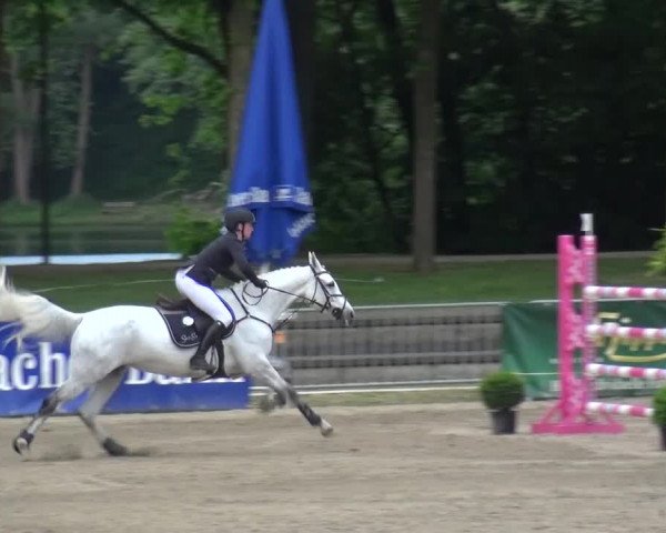 Reitturnier Mönchengladbach-Wickrath 2016