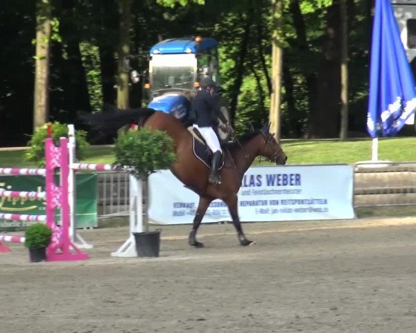 Reitturnier Mönchengladbach-Wickrath 2016