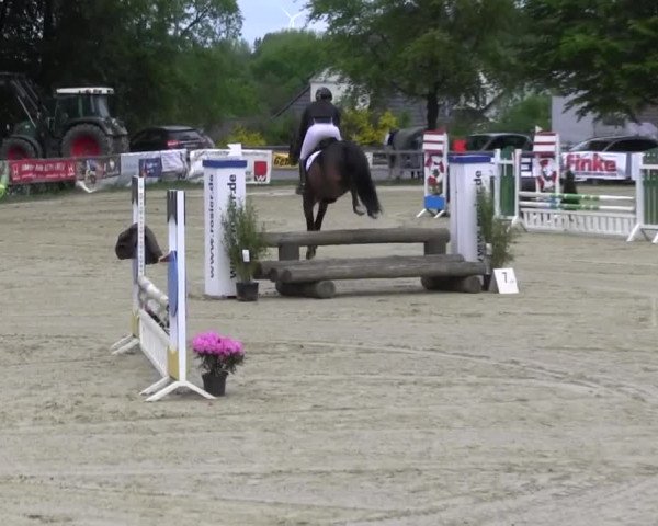Reitturnier Iserlohn-Kalthof 2016