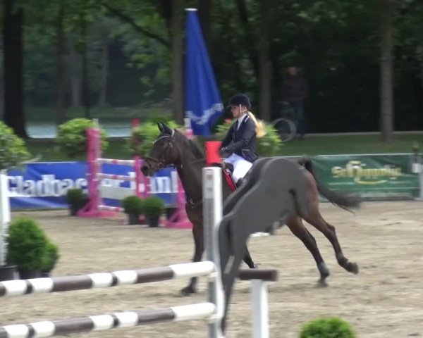 Reitturnier Mönchengladbach-Wickrath 2016