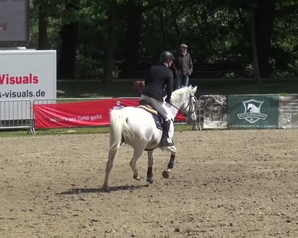 Reitturnier Mönchengladbach-Wickrath 2016