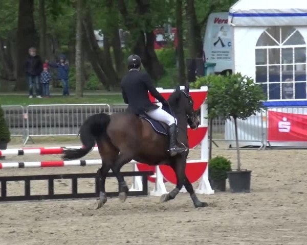 Reitturnier Mönchengladbach-Wickrath 2016