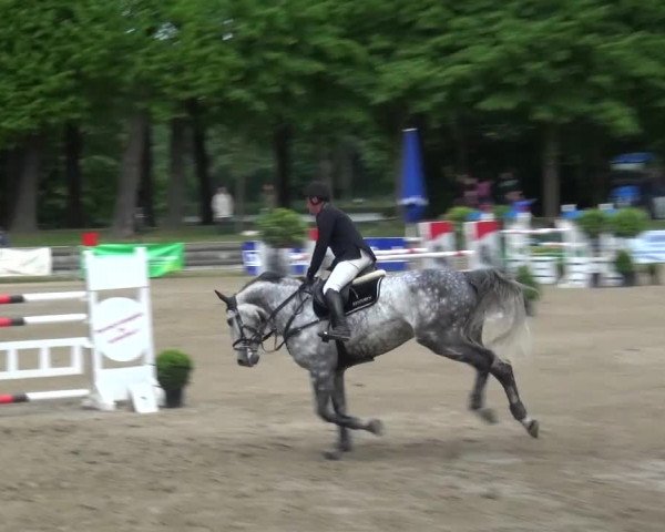 Reitturnier Mönchengladbach-Wickrath 2016