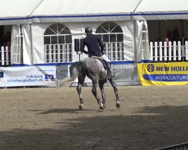 Reitturnier Mönchengladbach-Wickrath 2016