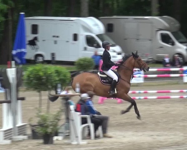 Reitturnier Mönchengladbach-Wickrath 2016