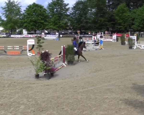Reitturnier Iserlohn-Kalthof 2016