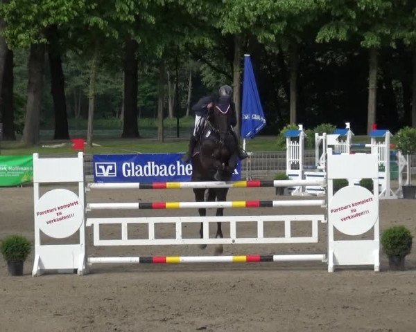 Reitturnier Mönchengladbach-Wickrath 2016