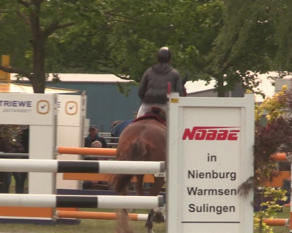 Reitturnier Kreuzkrug 2016