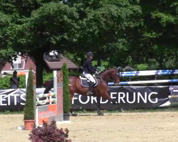 Reitturnier Iserlohn-Kalthof 2016