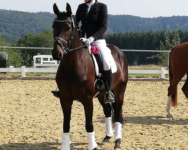 Pferd Frau Luna L (Oldenburger, 2014, von Rigamento OLD)