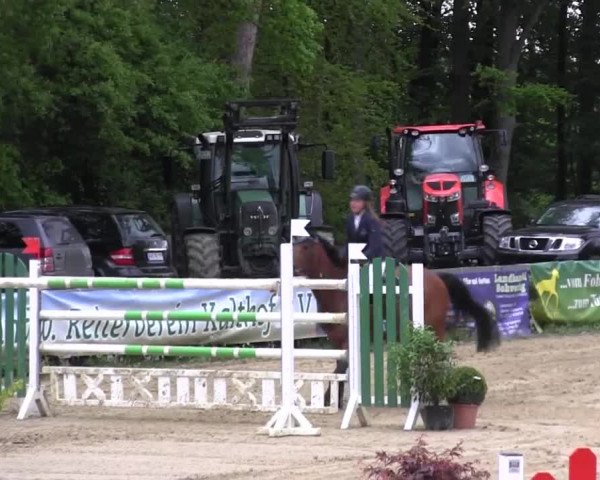 Reitturnier Iserlohn-Kalthof 2016