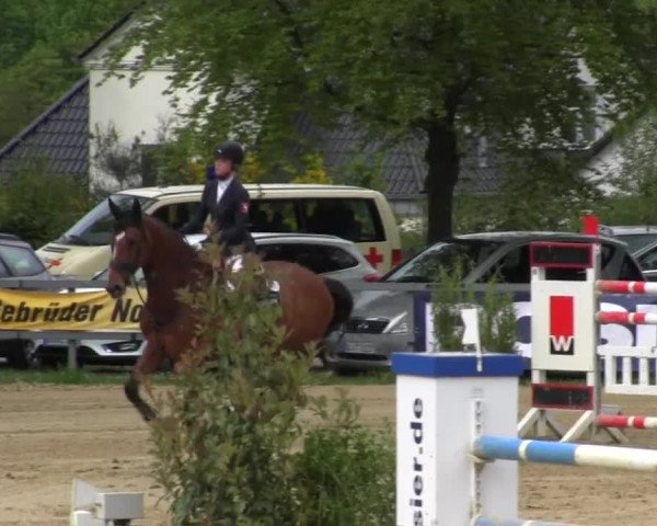 Reitturnier Iserlohn-Kalthof 2016
