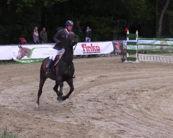 Reitturnier Iserlohn-Kalthof 2016