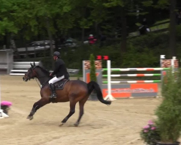 Reitturnier Iserlohn-Kalthof 2016